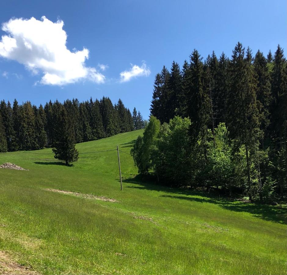 Blick Otel Lądek-Zdrój Dış mekan fotoğraf