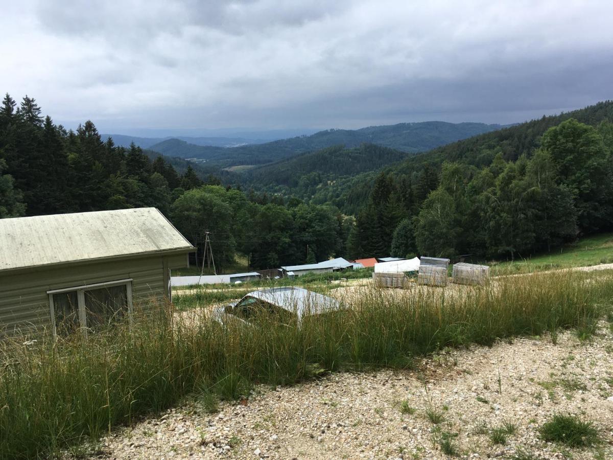 Blick Otel Lądek-Zdrój Dış mekan fotoğraf